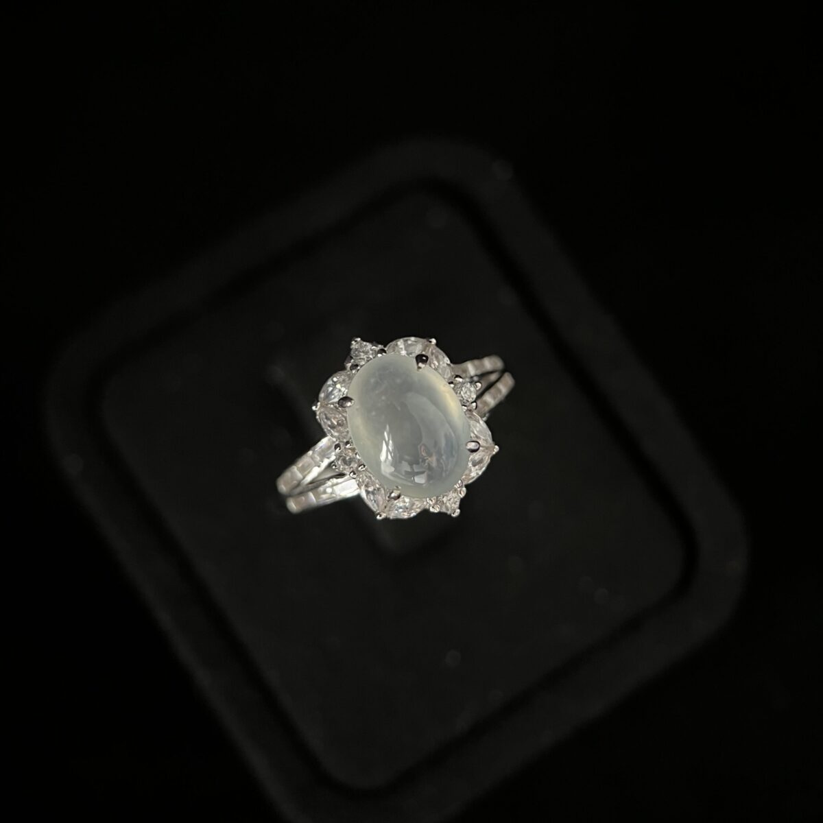 ROI-8505
