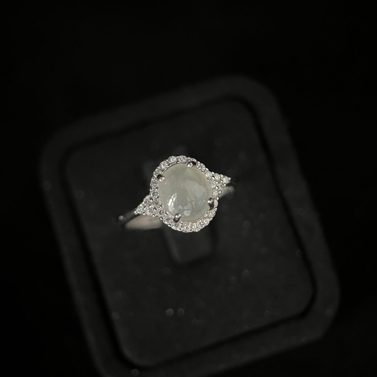 ROI-8861